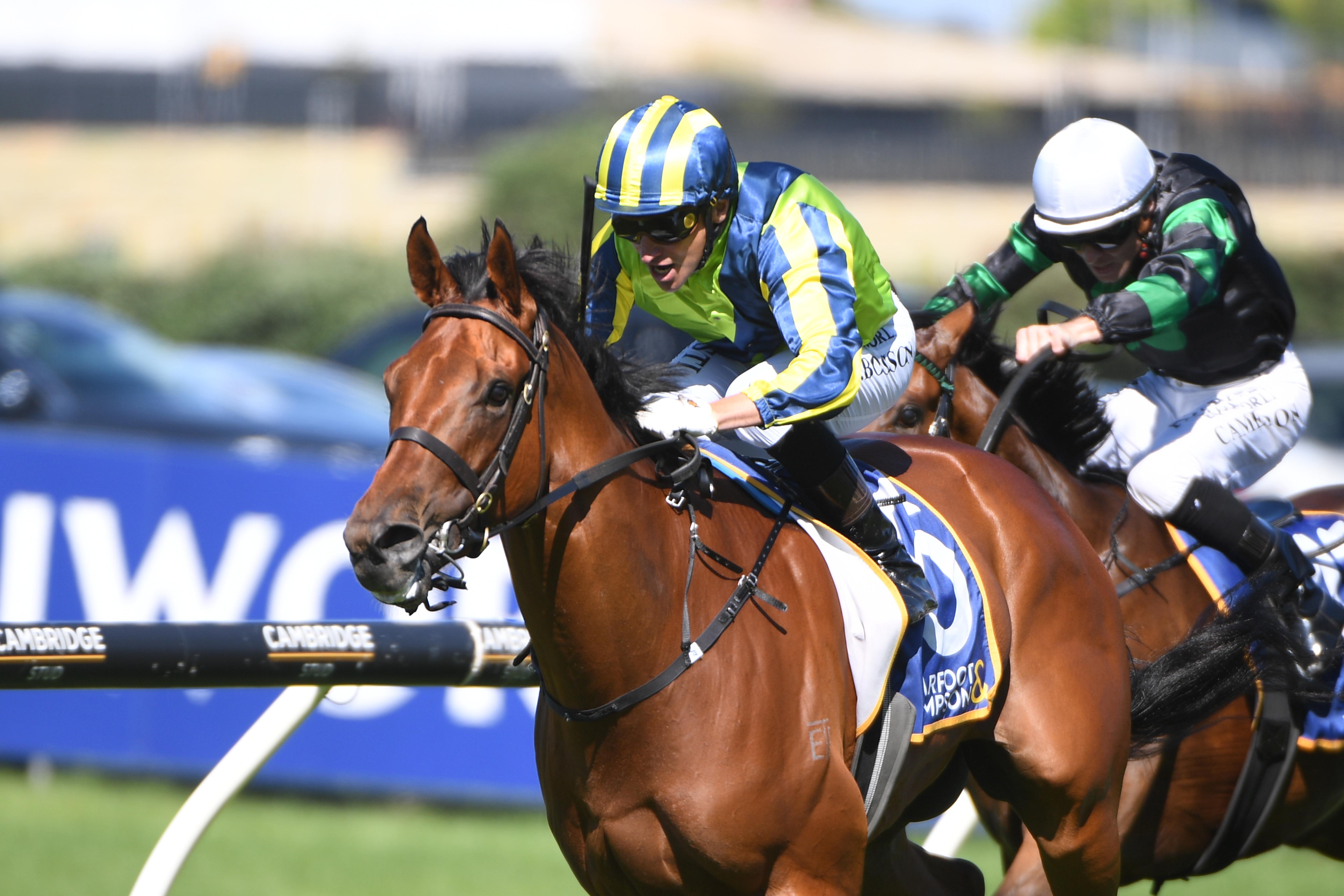 Bright future tipped for well-bred three-year-old