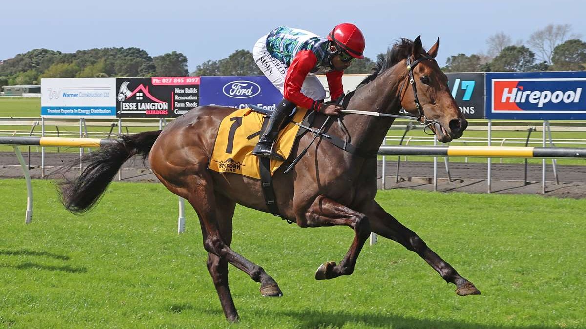 Tshiebwe returns to Whanganui for black-type test