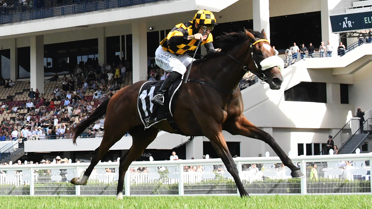 Waiting game with Jaarffi rewarding connections