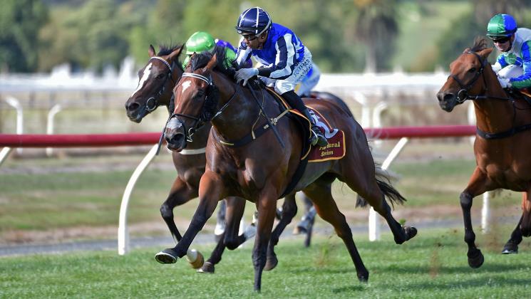 Riccarton path to be confirmed for talented Electron