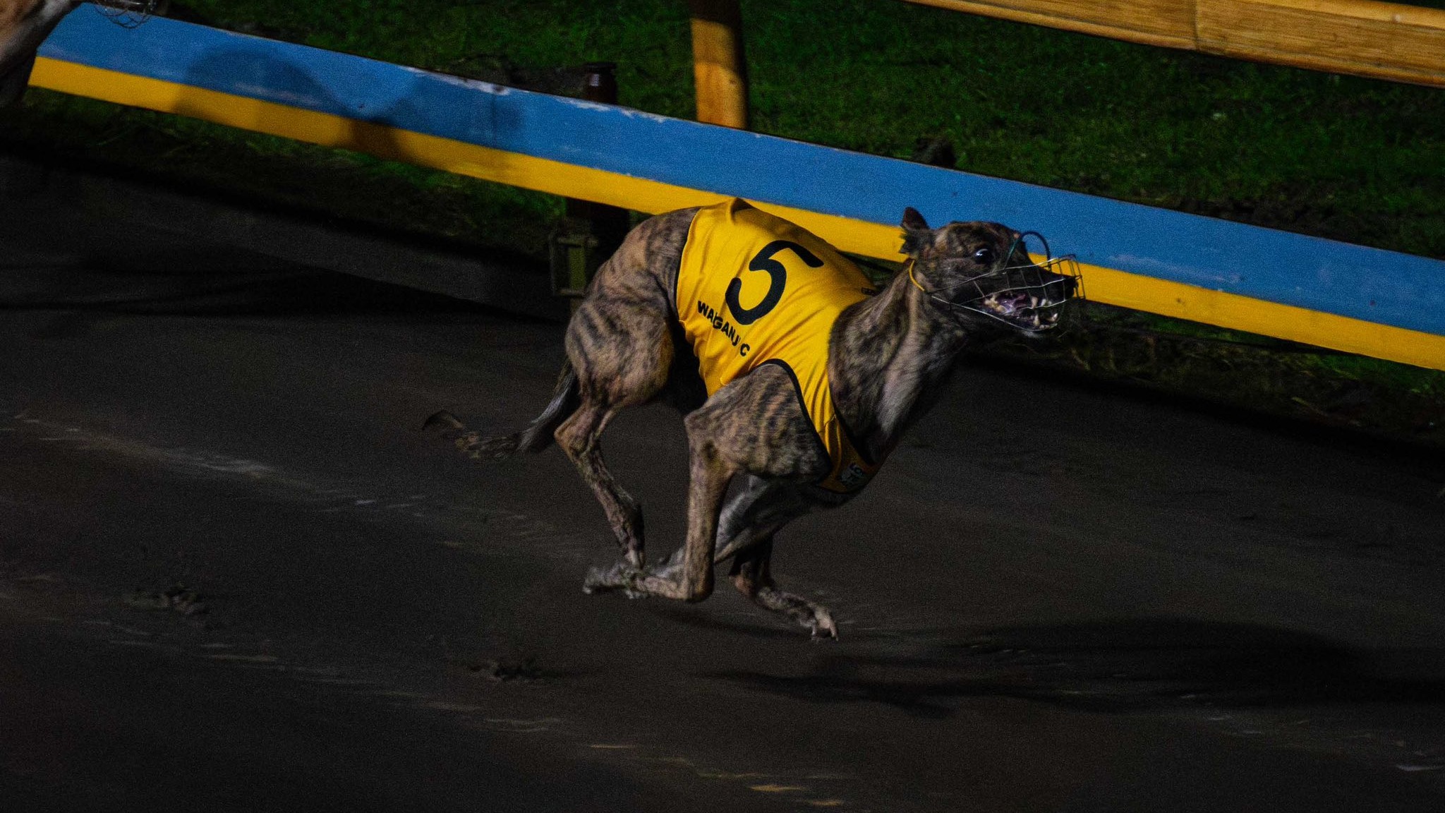 Roso unleashes his Hatrick hopes for the punters