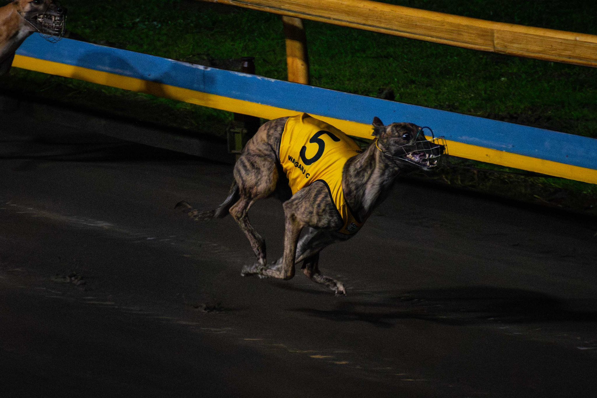 Roso finds Friday Night Lights Flyers
