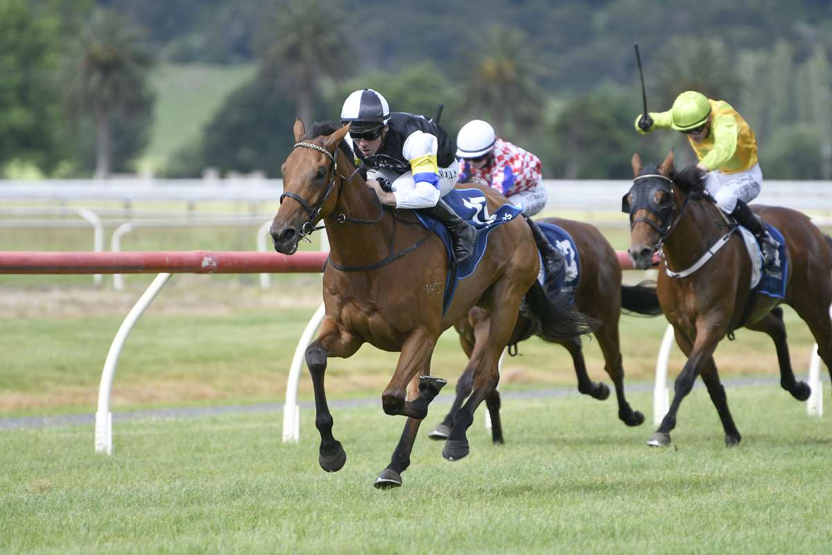 In-form Tellum on target for Whanganui