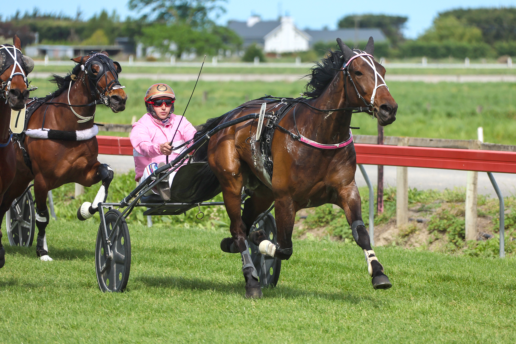 Morrison chasing Harness 5000 success at home