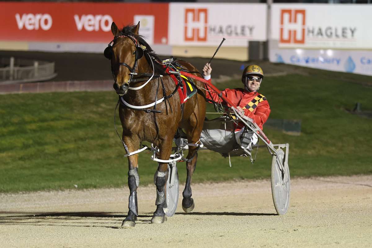 Williamson's looks for Southern Surge success