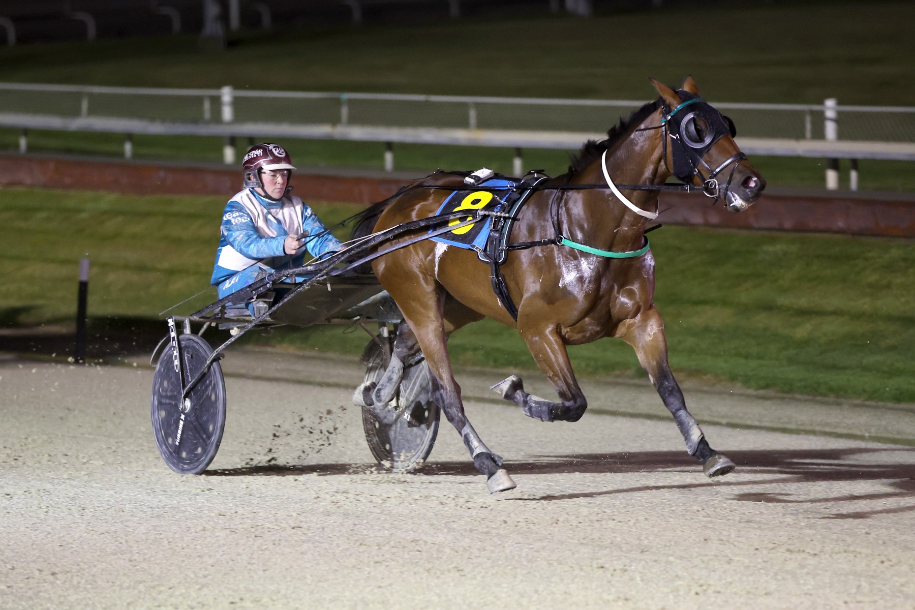 Classy mare ready to resume at Addington