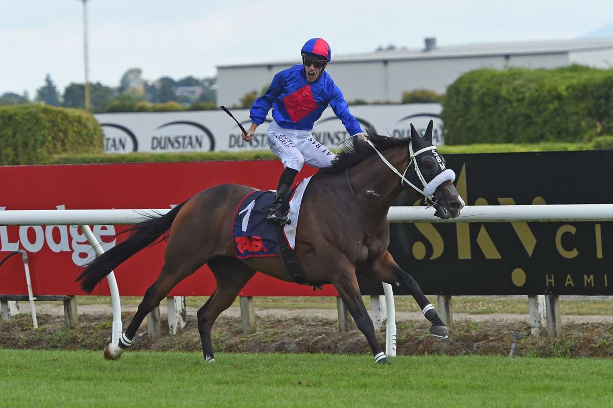 Stephen Hunt runs the numbers on group racing at Ellerslie