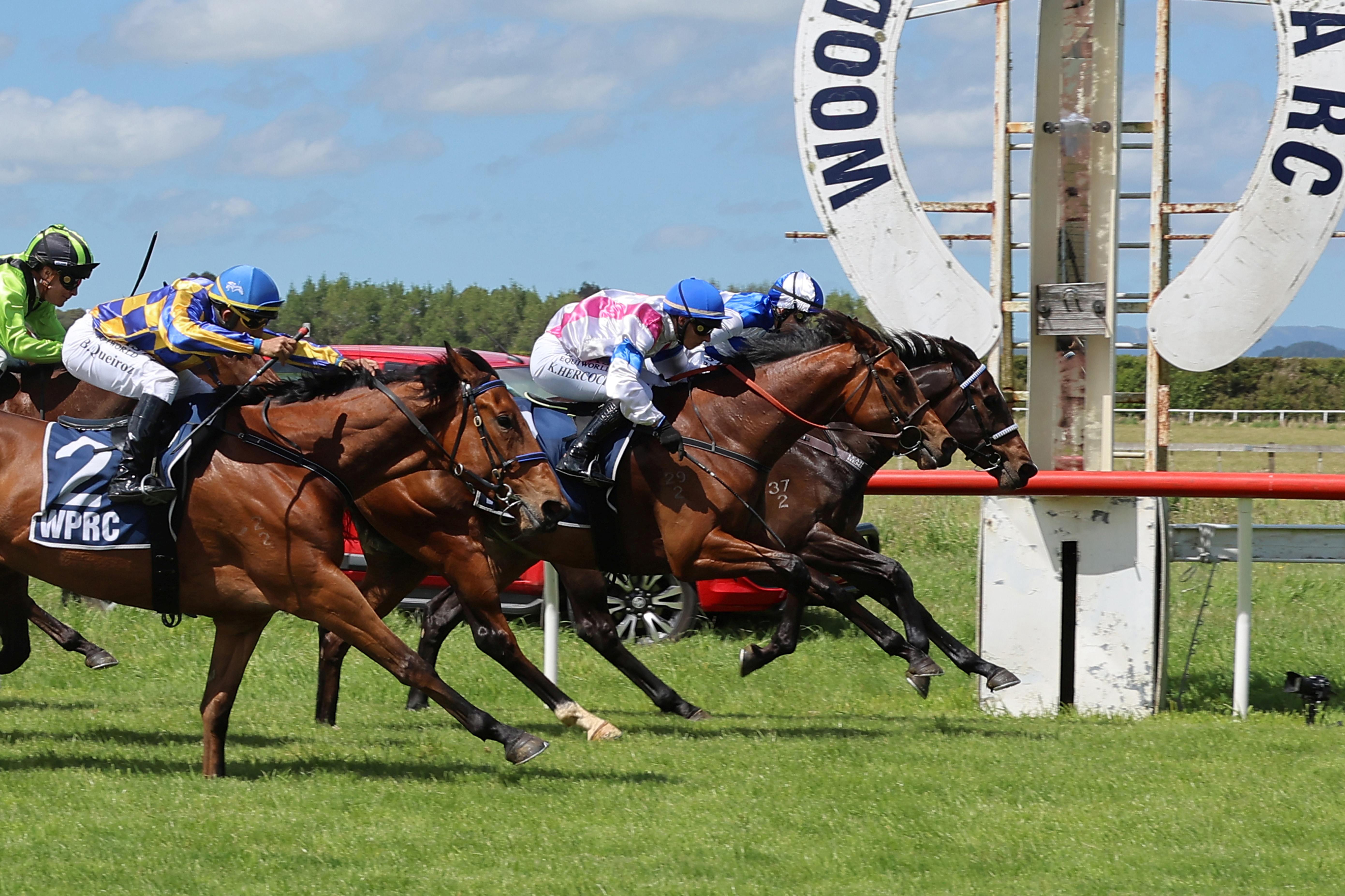 Nickalls chasing Oaks dream with promising filly