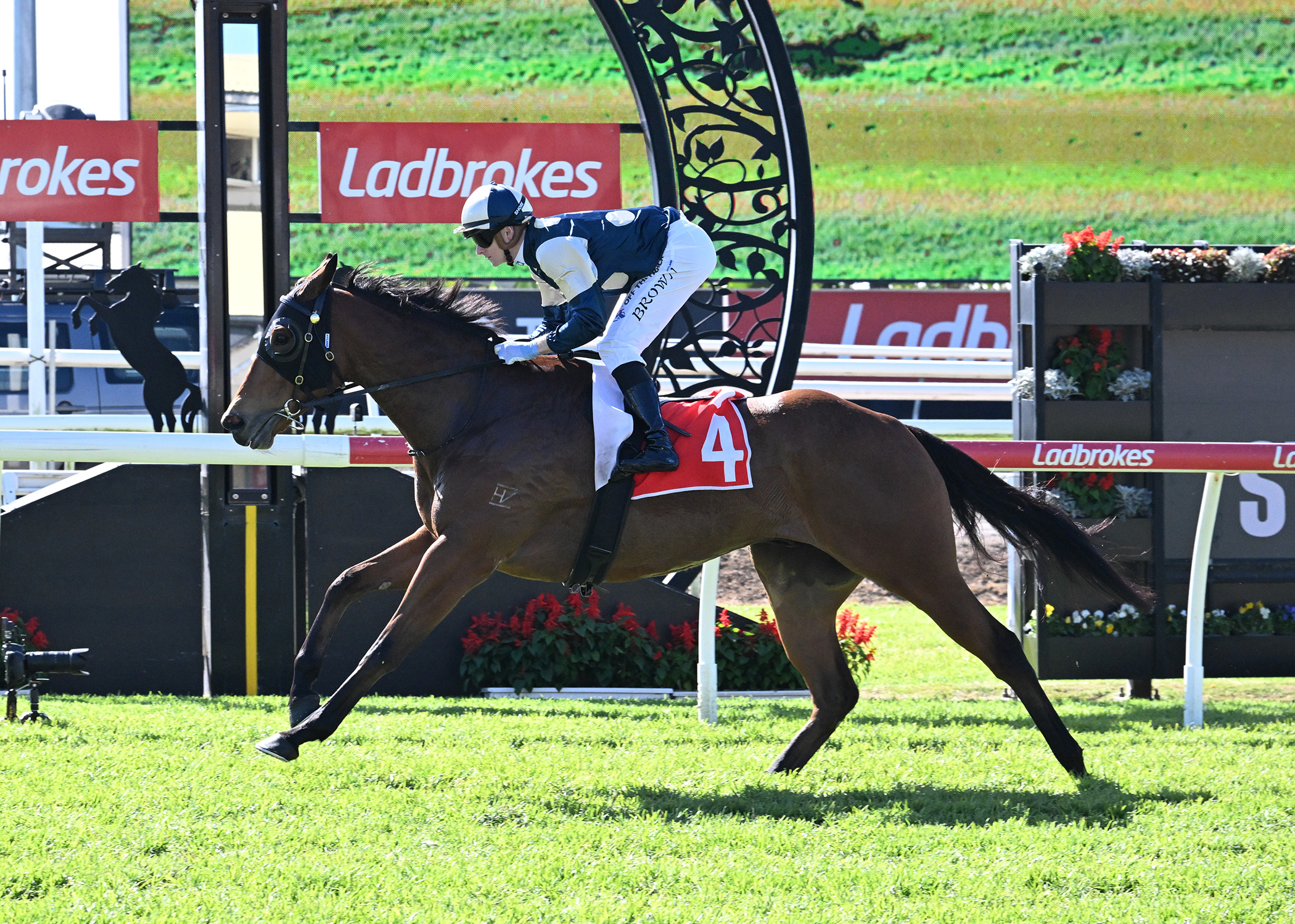 Pier picks up Stradbroke consolation