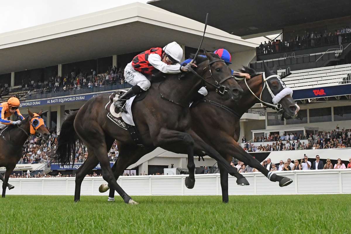 Kiwi mare trying to join the Golden Grannies: Michael Guerin
