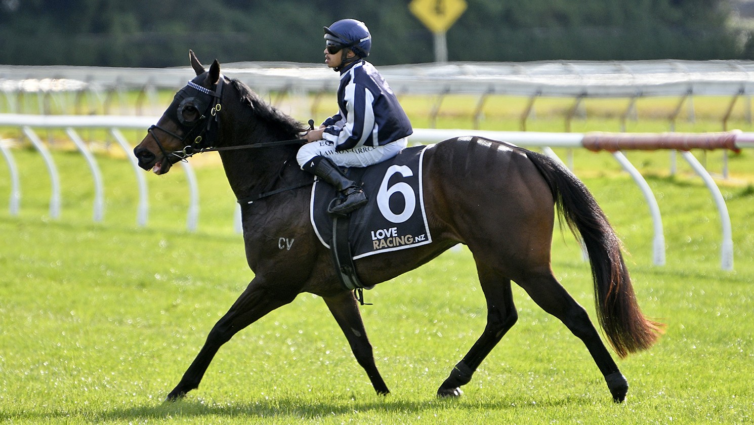 Lawson-Carroll hits half-century with front-running masterclass