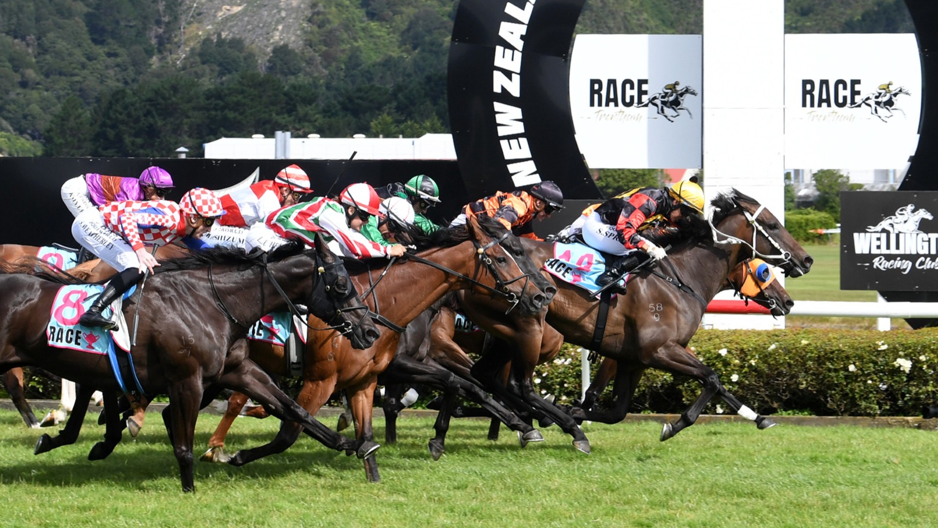 Provence confirmed for TAB Mufhasa Classic