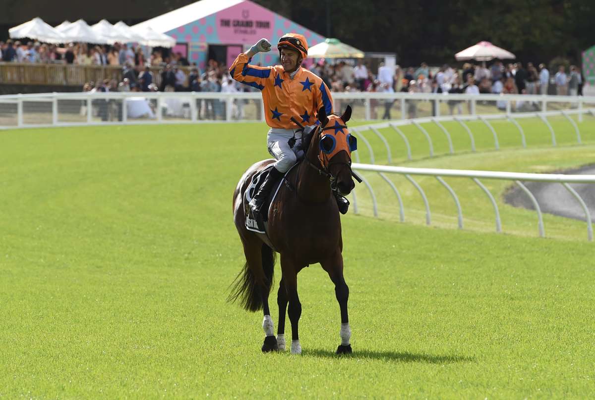 First Group One opportunity for Damask Rose