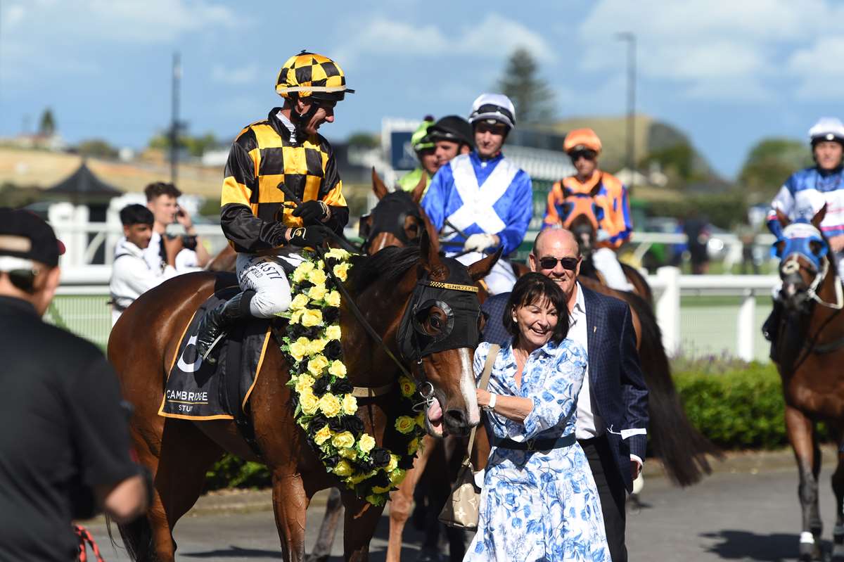 HORSE OF THE YEAR AWARDS CONTENDERS: