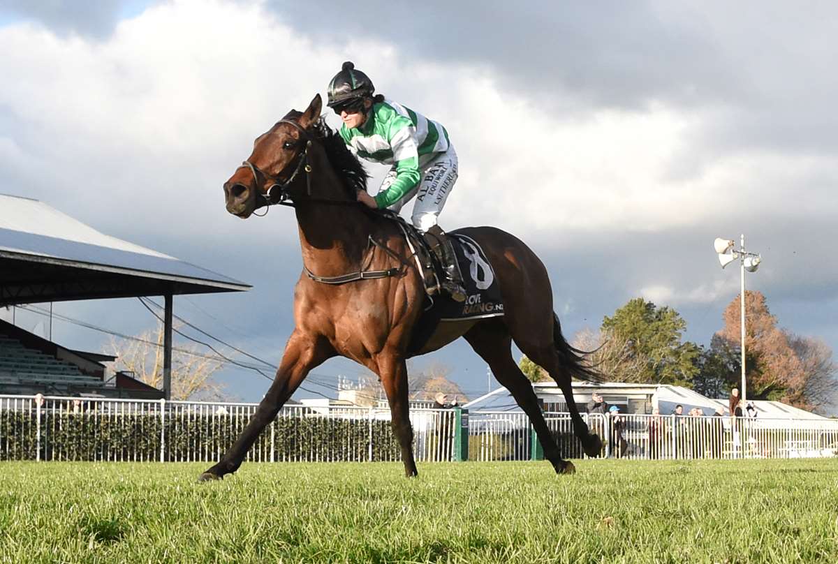 Bevan Sweeney: Ones to watch at Wanganui