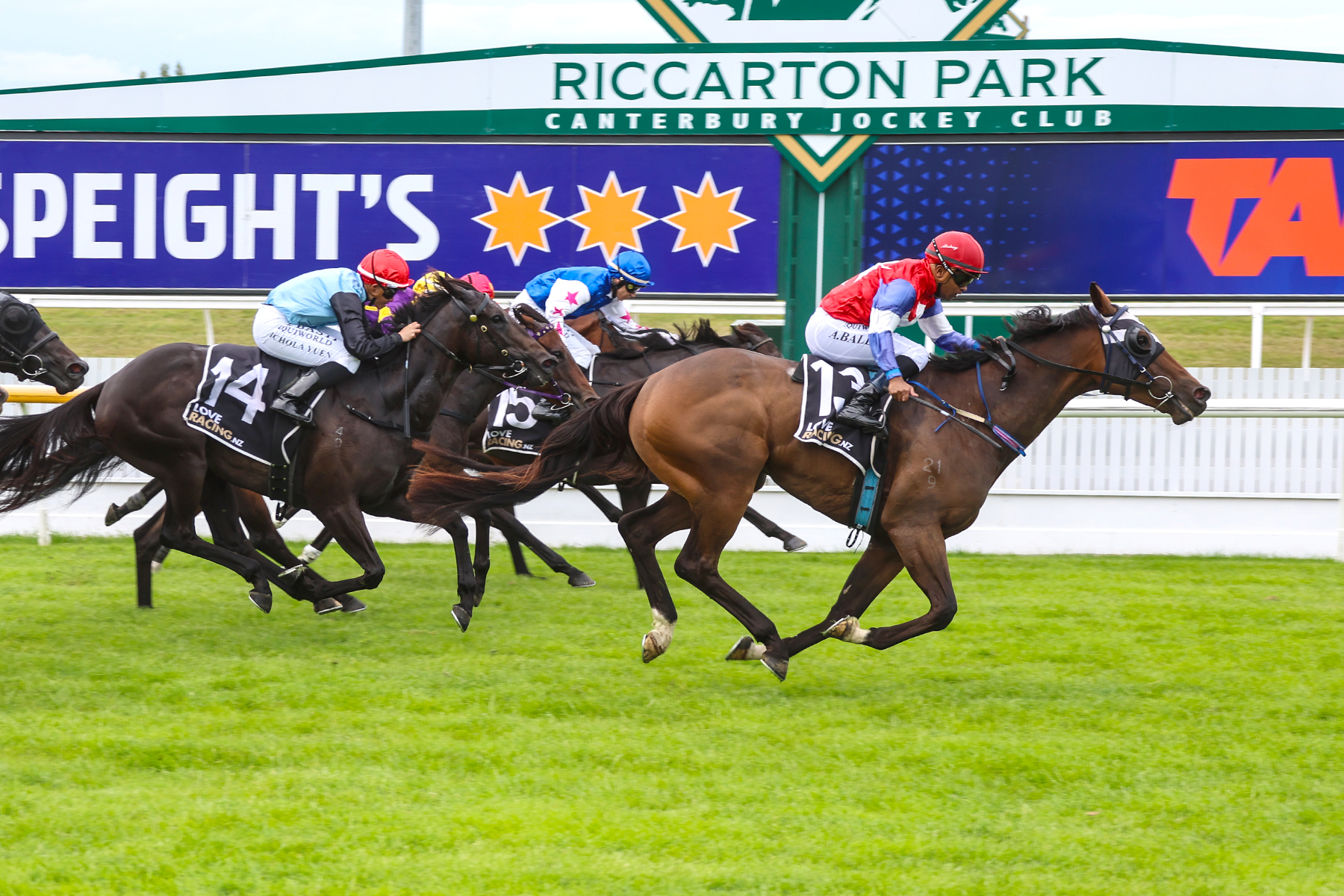 Tumuch takes Timaru Stakes