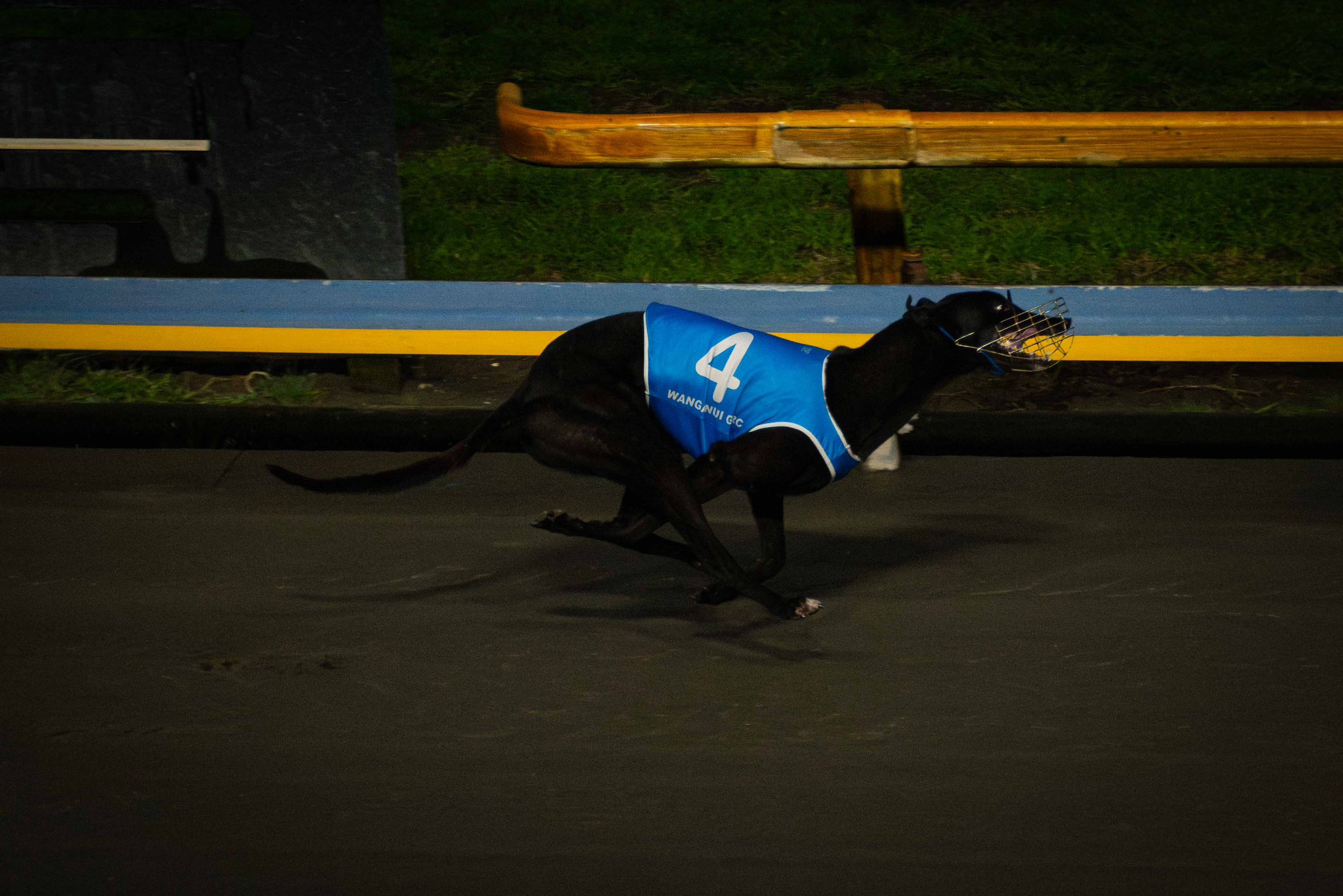 Roso's Whanganui winners under Friday Night Lights
