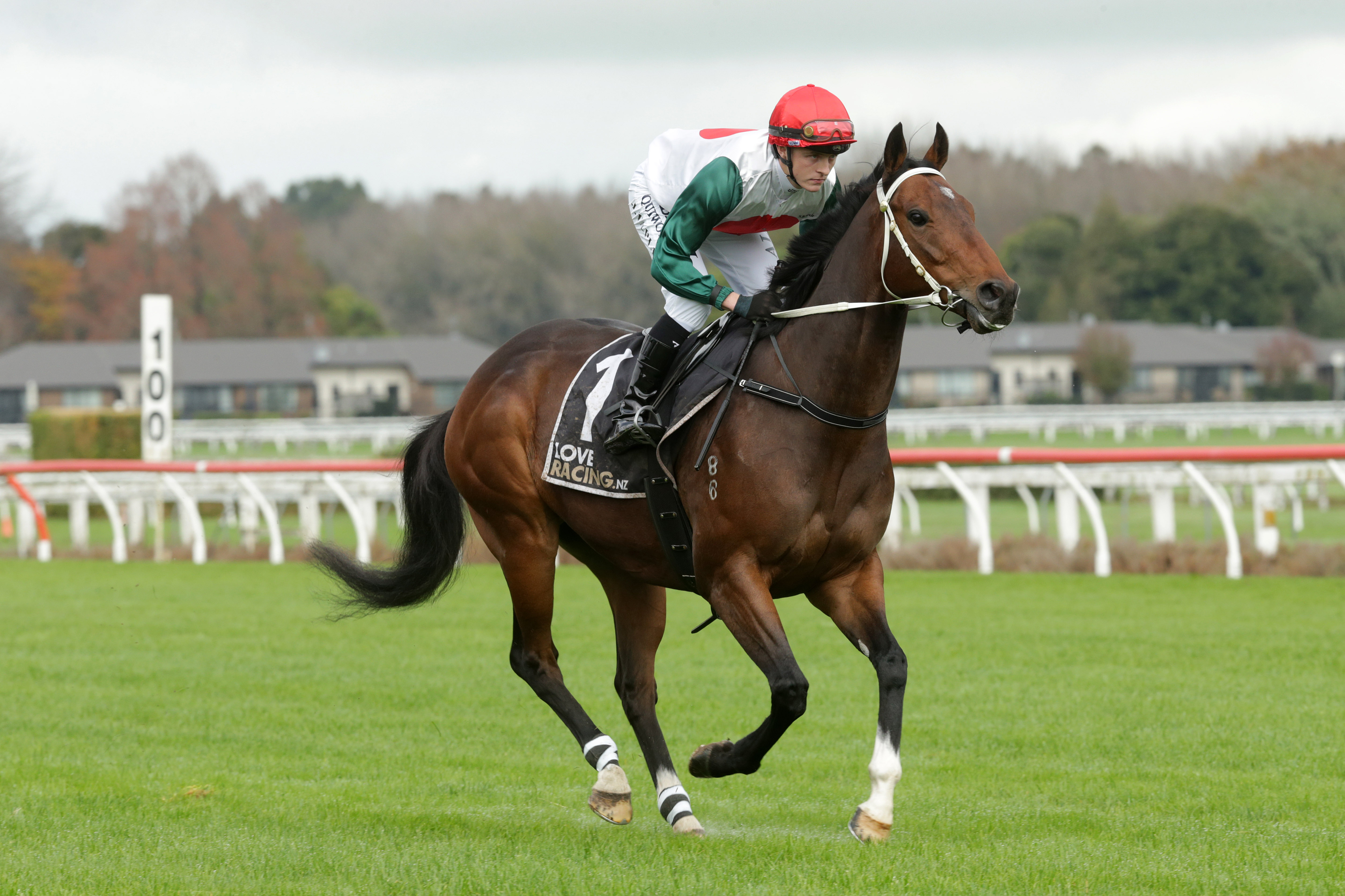 Mercurial spearheads Marsh’s Ruakaka team