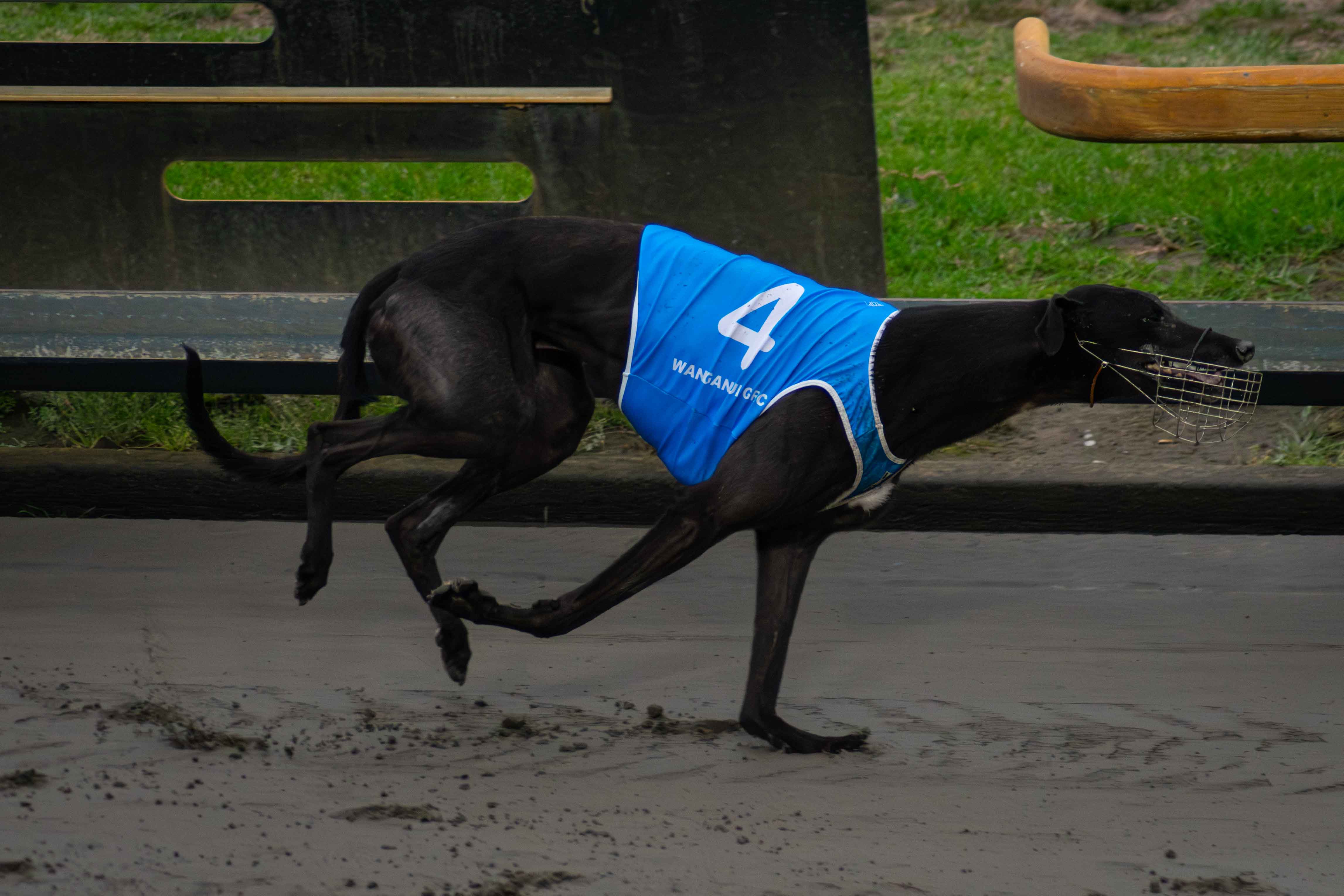 Johnny Football scores another Group 1 victory