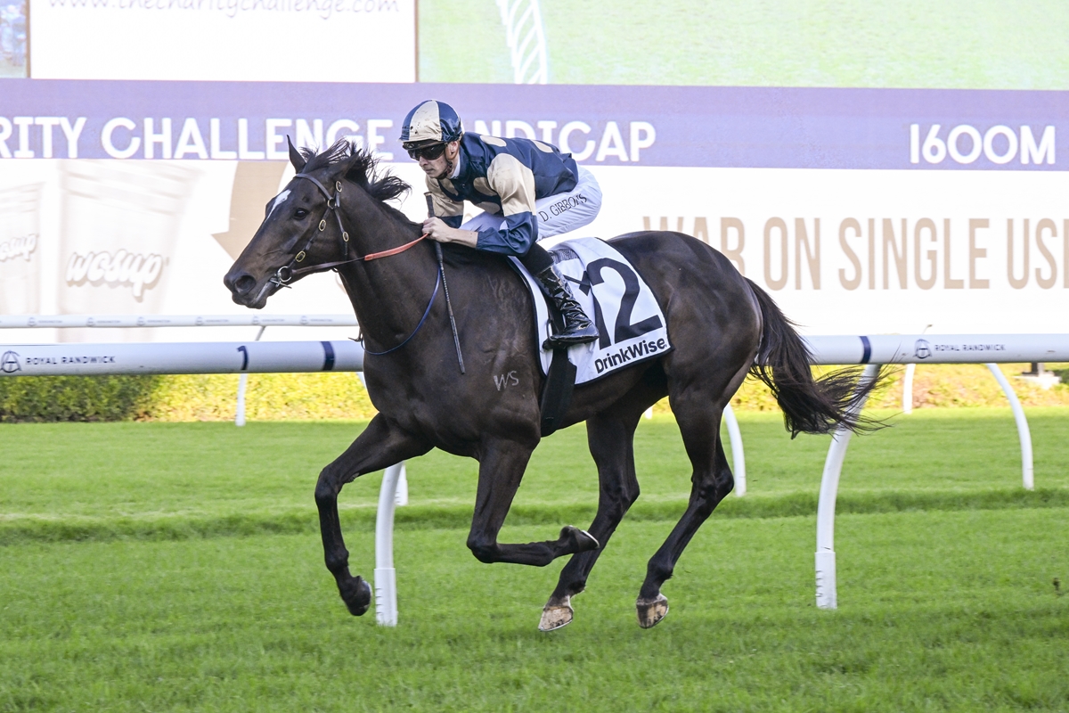 Little Dance target for Hollywood Hero
