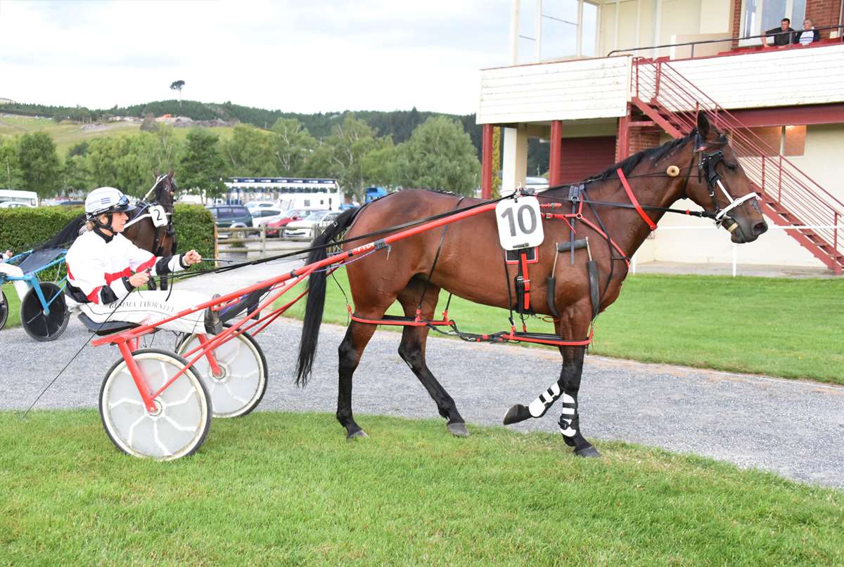 Leaving the opposition in a twist at the Gore Summer Cup