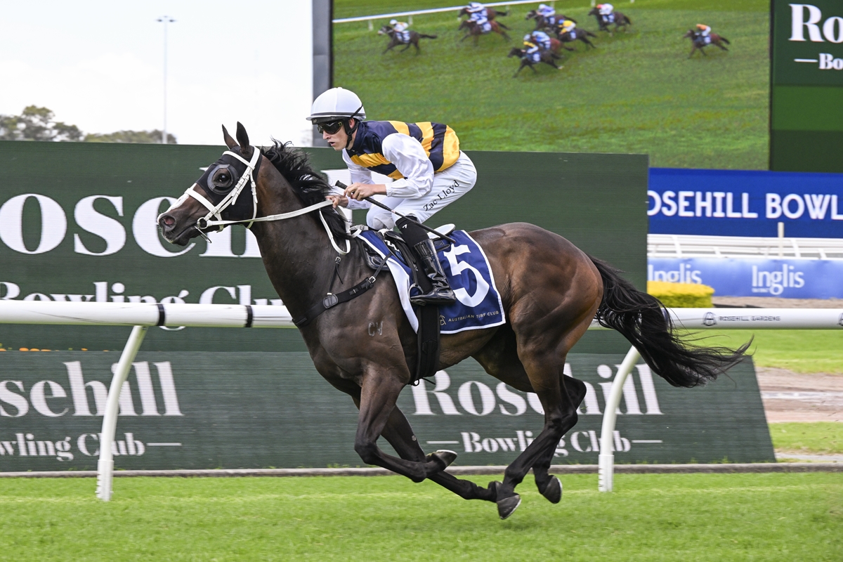 Step Aside bags deserved Sydney win