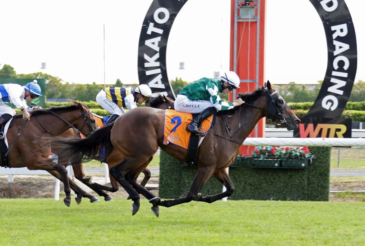 Classic double possible if Ohope keeps winning