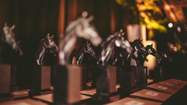Finalists Announced for 2024–25 Horse of the Year Awards
