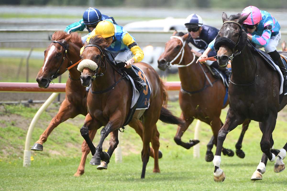 Boxing Day targets for Clotworthy pair