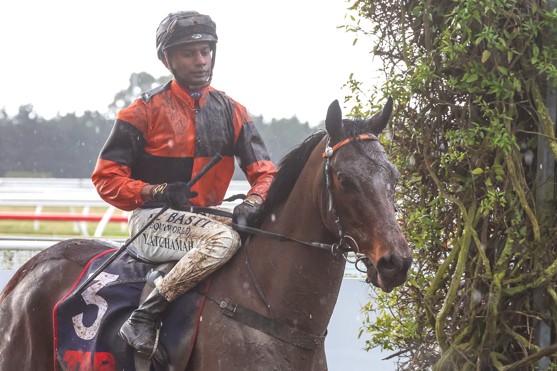 Winter Cup consolation for Wilsons