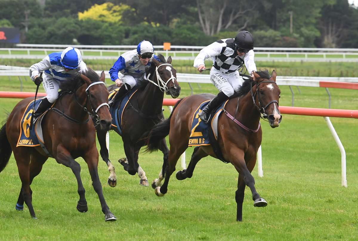 Ritchie gets well-bred colt with change to spare