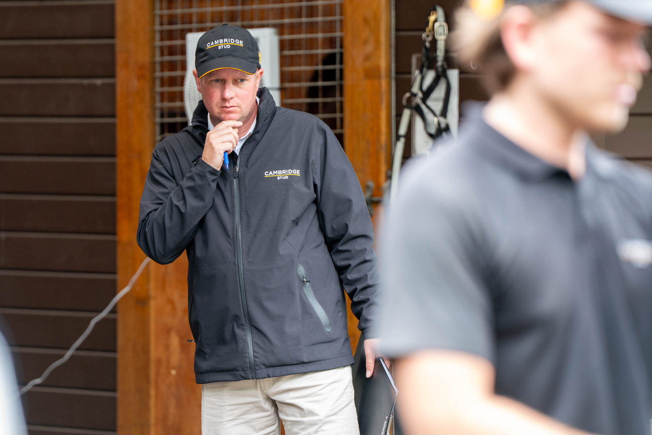 Cambridge Stud sets the standard at Karaka 2026