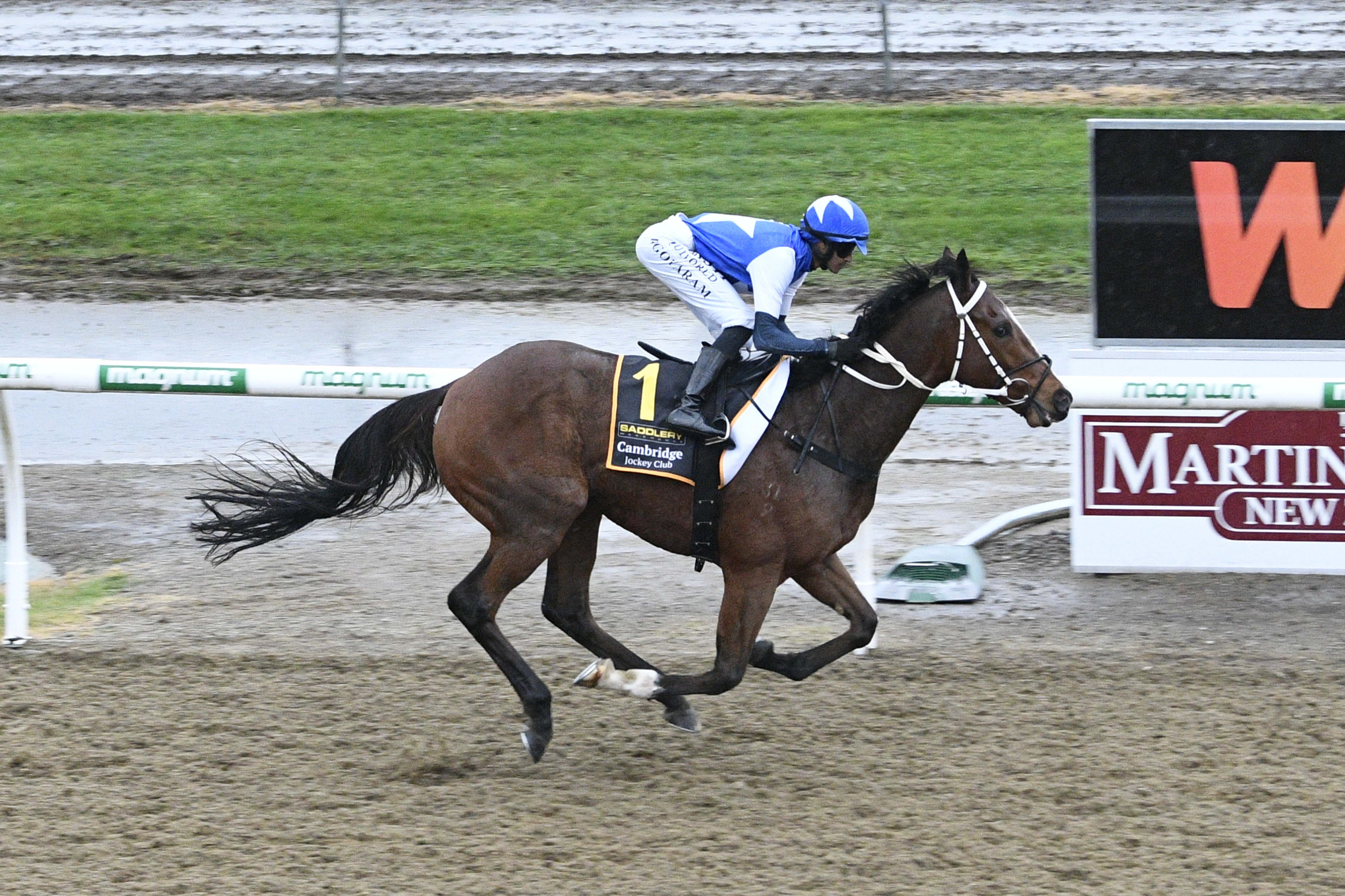 Synthetic heavyweights to renew rivalry