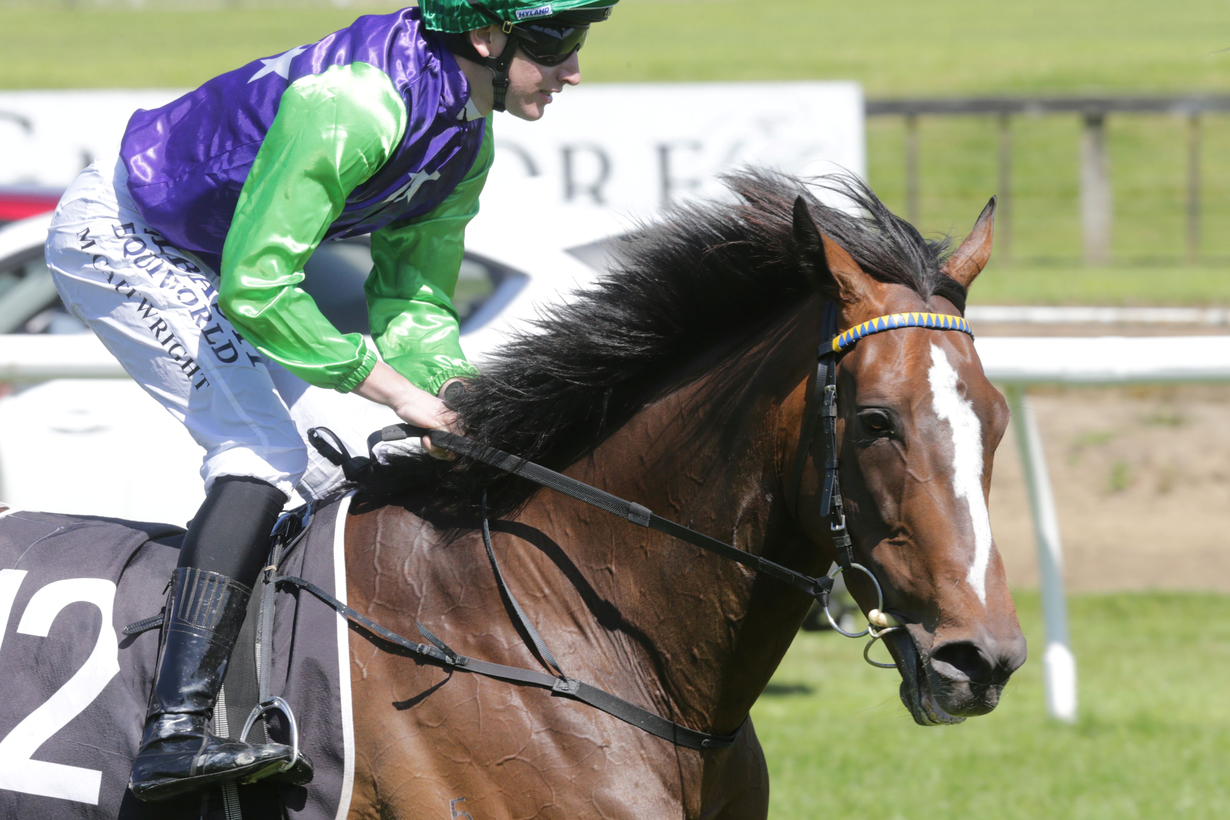 Extra distance ideal for Mosinvader at Te Rapa