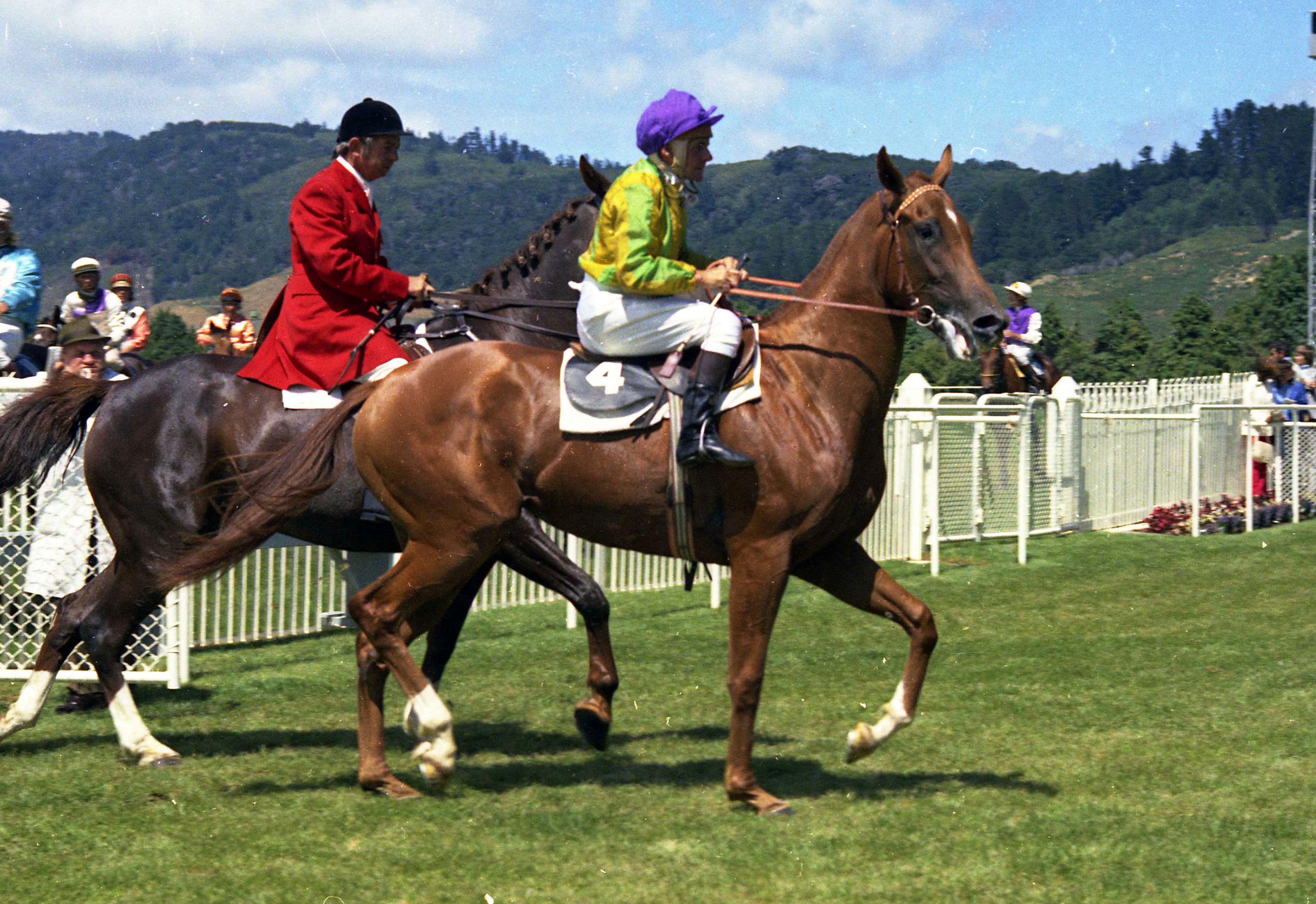 Well Written pedigree a trip down memory lane