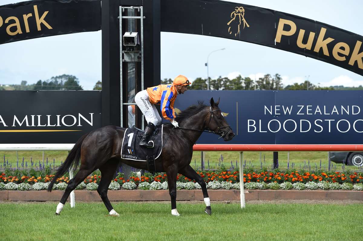 Imperatriz takes home another supreme award for Te Akau