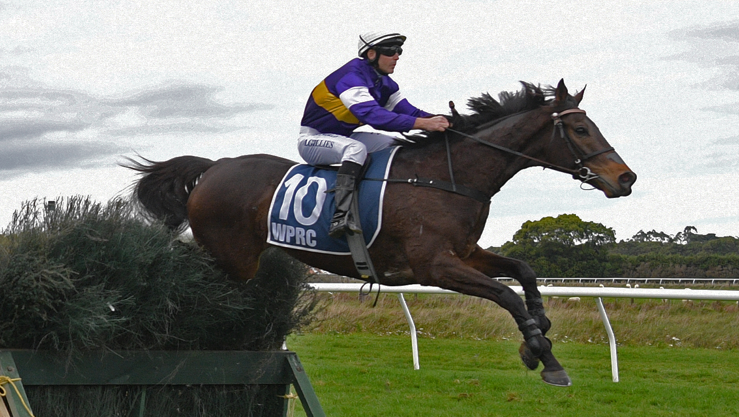 Sweet redemption for Smug in Hawke’s Bay Steeplechase