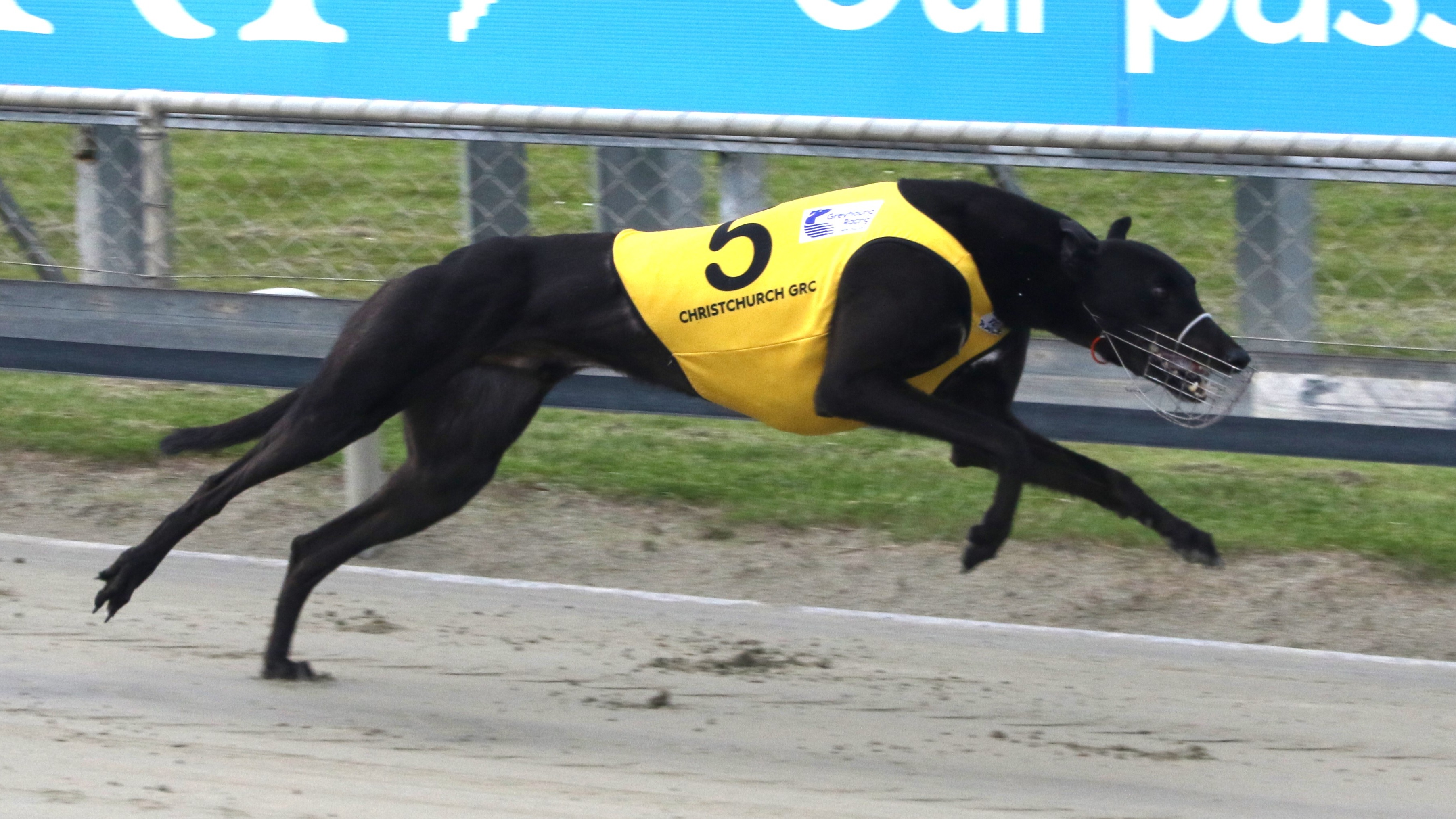 Craig Roberts travels south with NZ Cup contenders