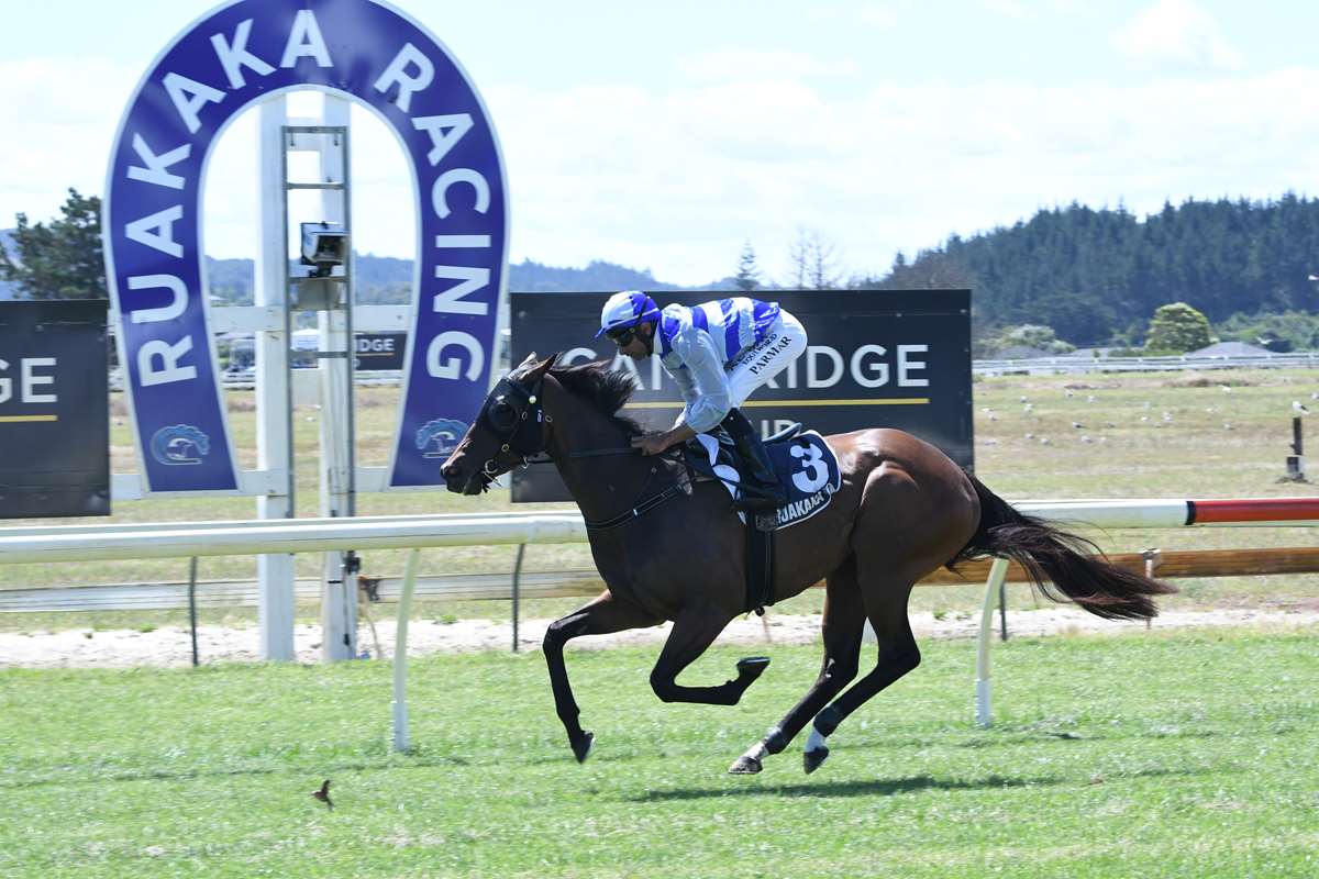 Bonifleur to make polytrack debut