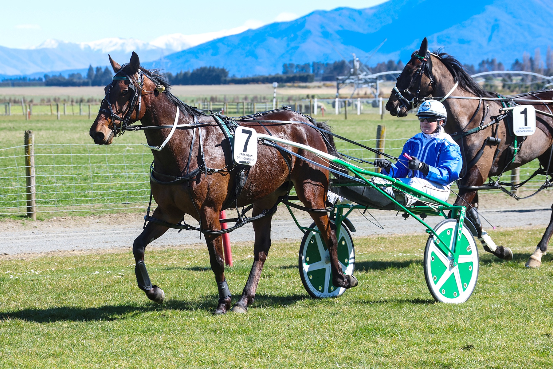 Addington test for unbeaten Lavra Rose