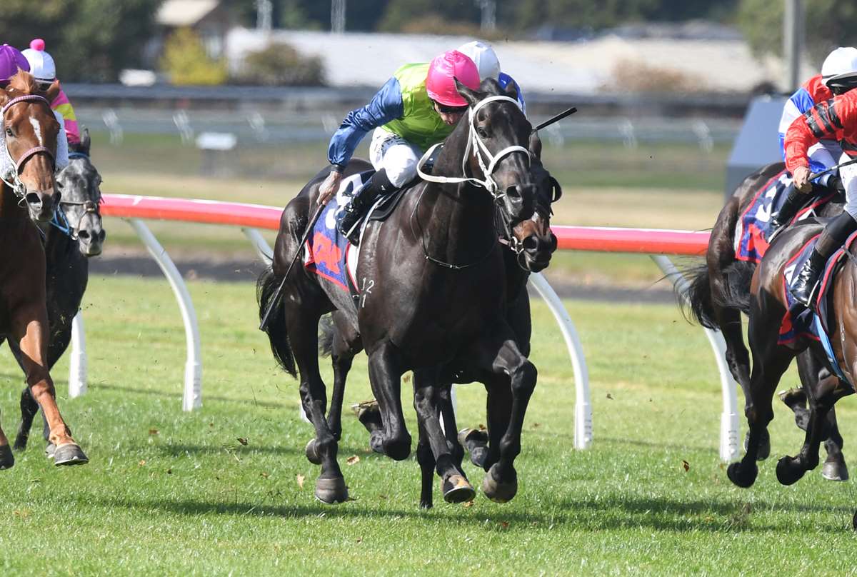Croupier ready for Rough Habit test