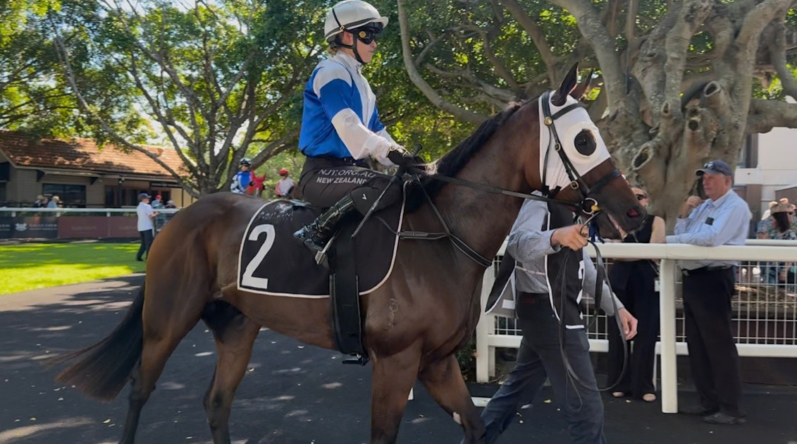 Jay Riddell Turf Riddell savouring first taste of Australian racing