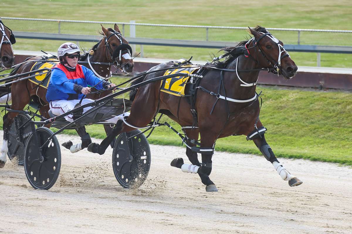Three fillies to follow at Addington to start August