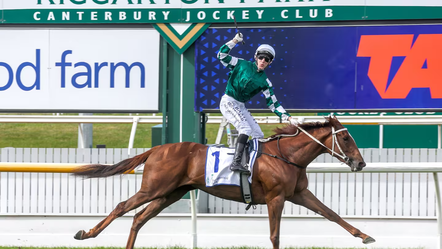 Change of plans sees Well Written aiming at rich Ellerslie double