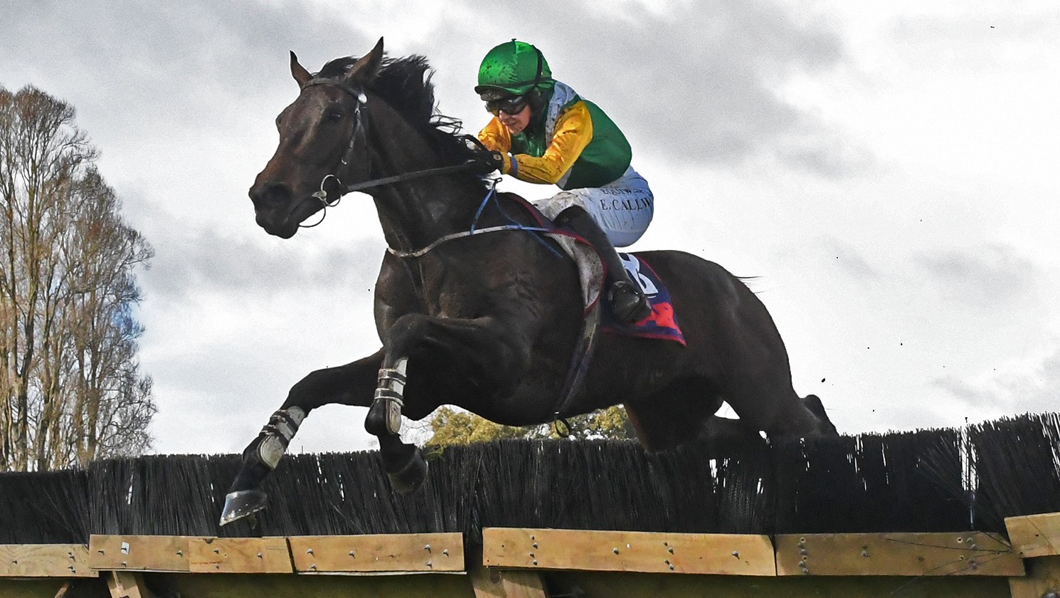 Callwood secures first New Zealand victory