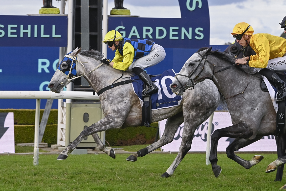 Misterkipchoge breaks through at Rosehill