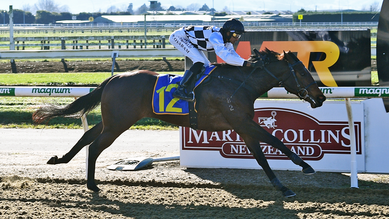 Stakes target in mind for pacy sort