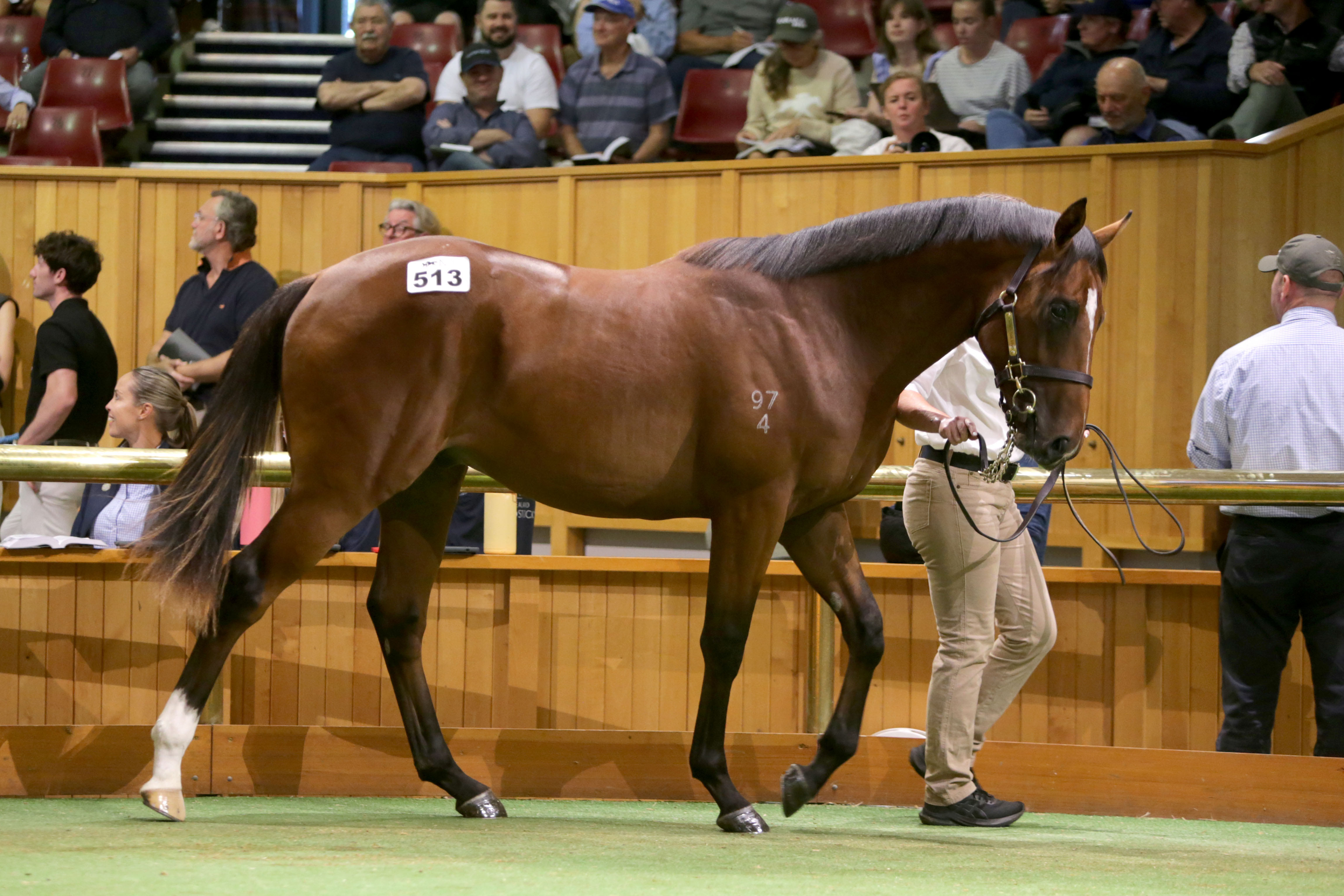 Karaka 2026 earns its own place in New Zealand’s thoroughbred history