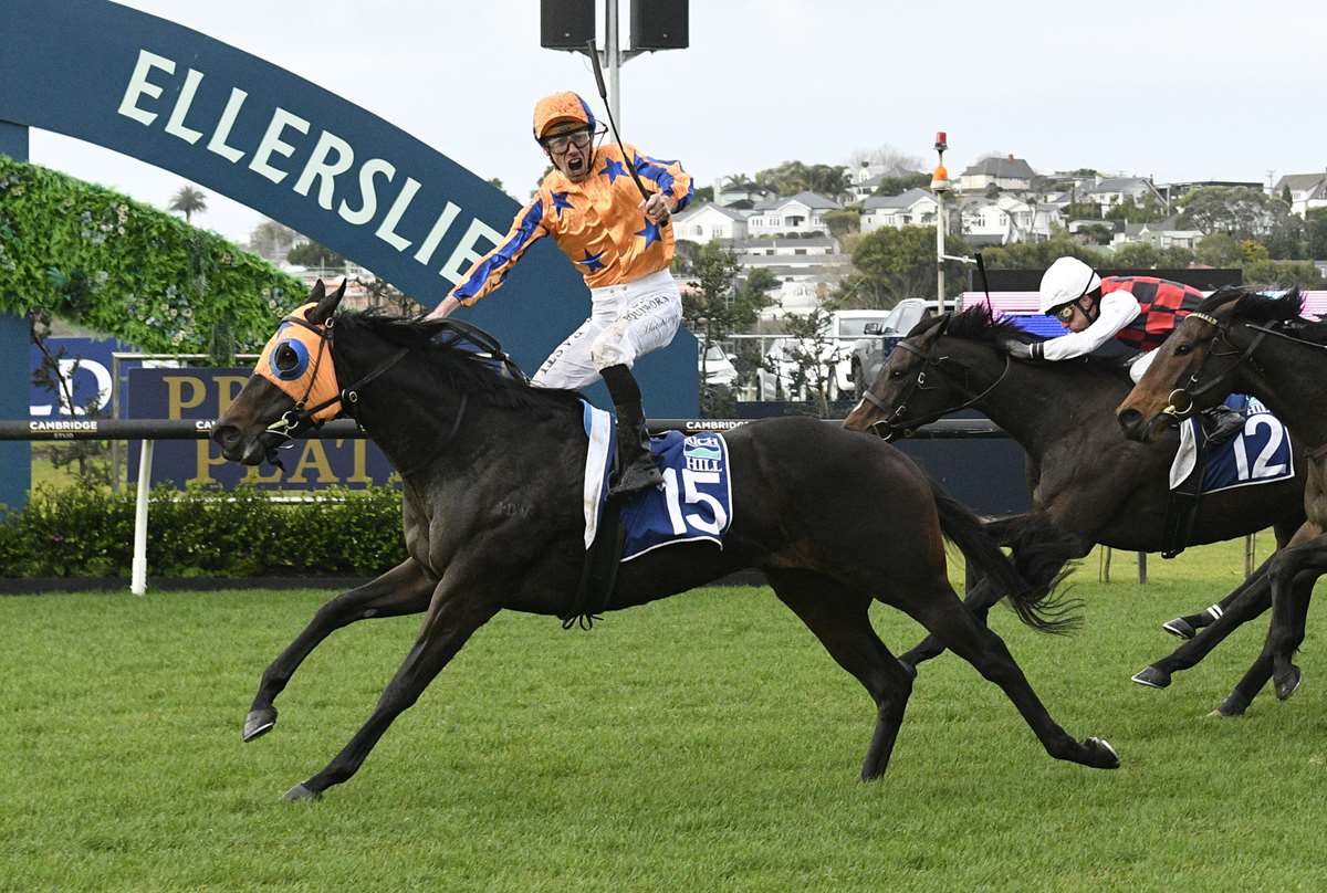 Stellar start to spring for Wentwood Grange
