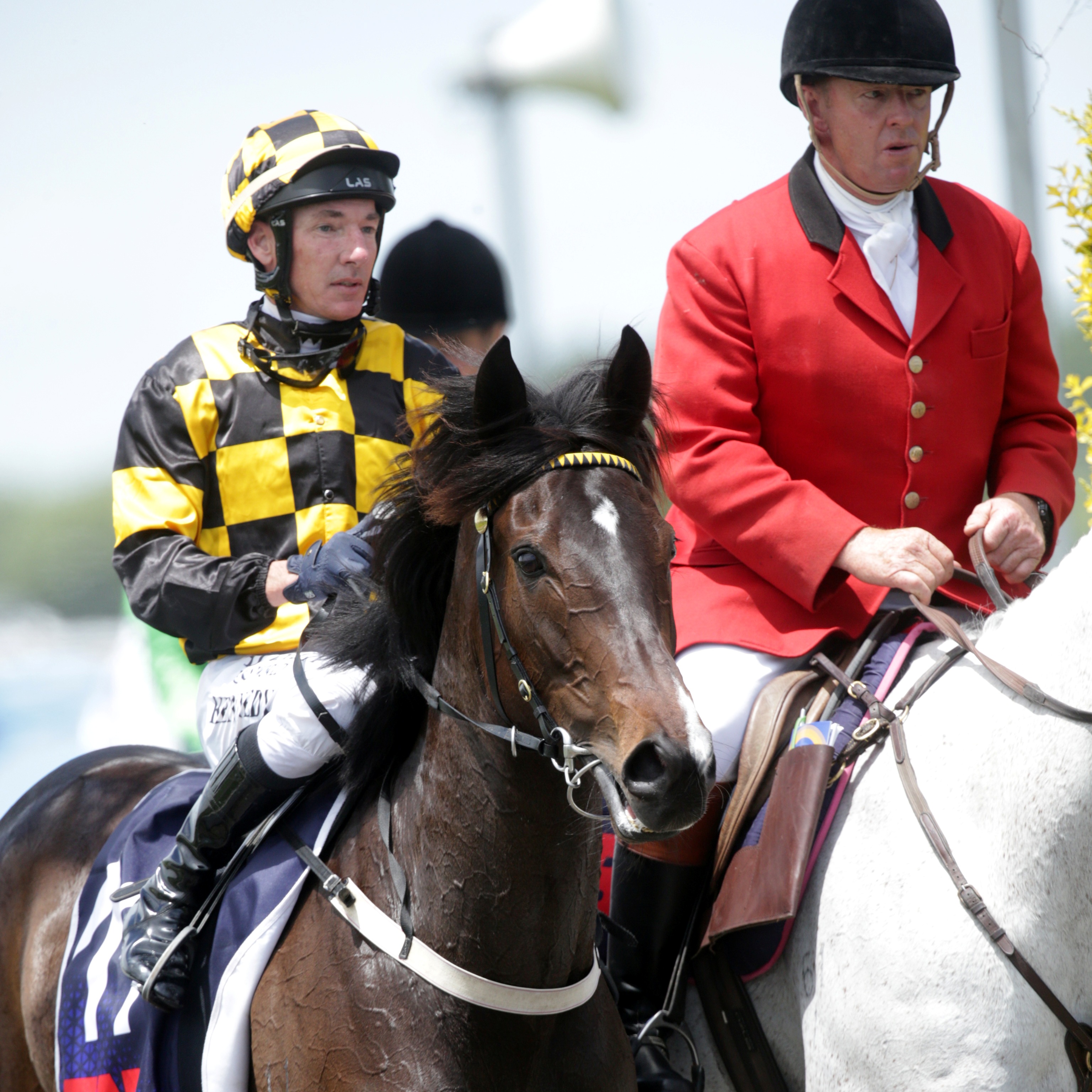 Noble out to put sponsors in Boxing Day spotlight